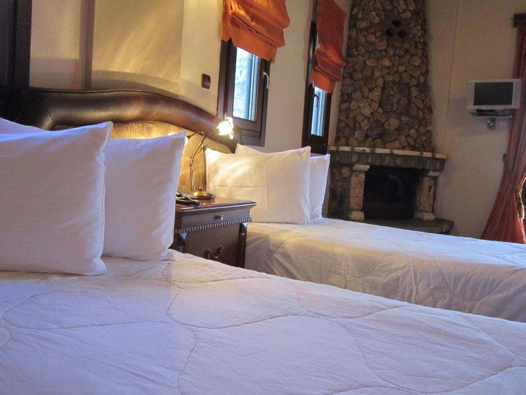 Aiolides Hotel Kalivia  Bilik gambar
